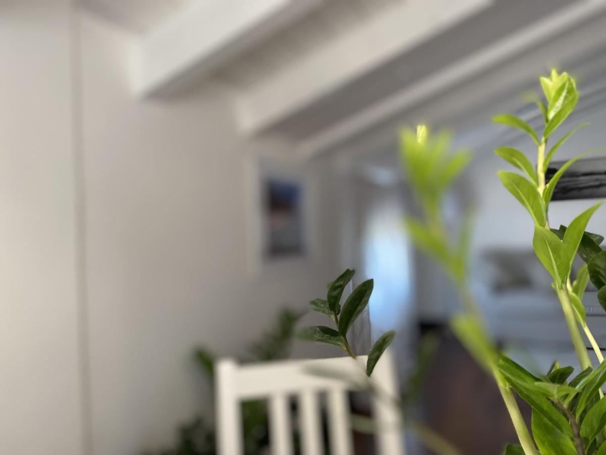 Casa Alda Διαμέρισμα Λα Σπέτσια Εξωτερικό φωτογραφία
